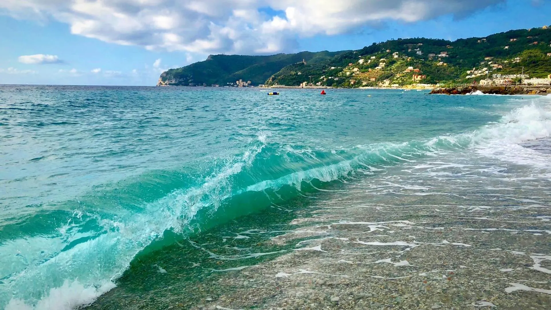 Ilgattosuruotefinalligure Finale Ligure Italy